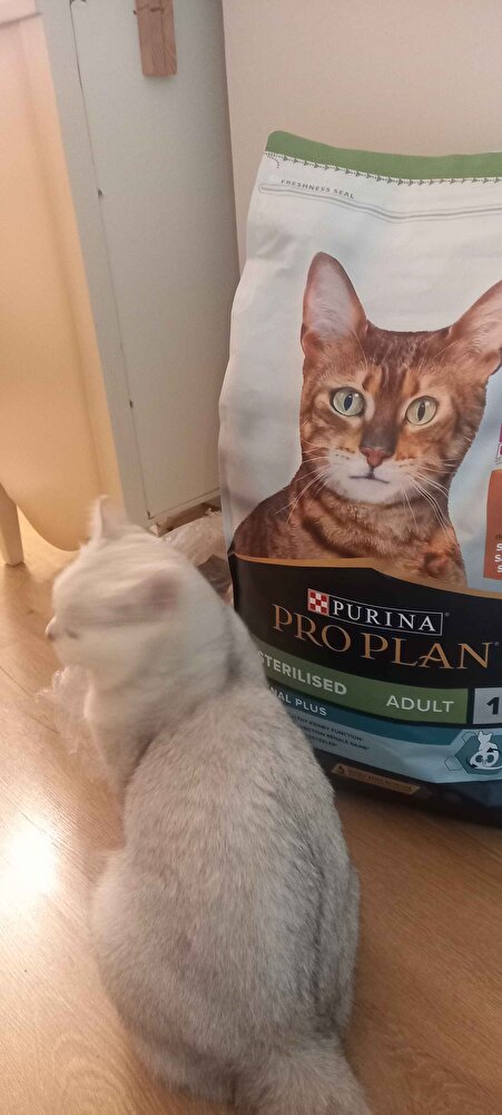 Oğlumun sevdiği mama 😻 Trendyol 'a ve satıcı firmaya teşekkür ederiz. Ürün sağlam ve hızlı geldi. 🌸