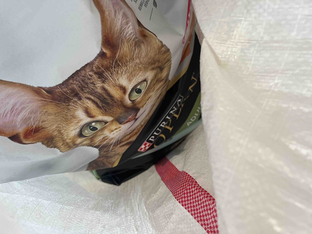 Kedime kilo aldıran bir mama