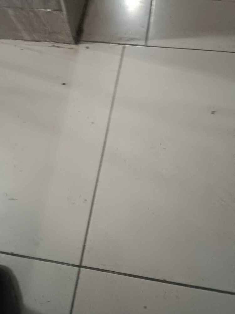sokakta ki kediler için acoklıyorum çok seviyorlar