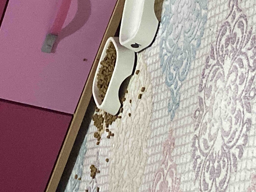 Romikkk bayılarak yior hatta o kadar bayılıyor ki etrafının halini görüyorsunuz