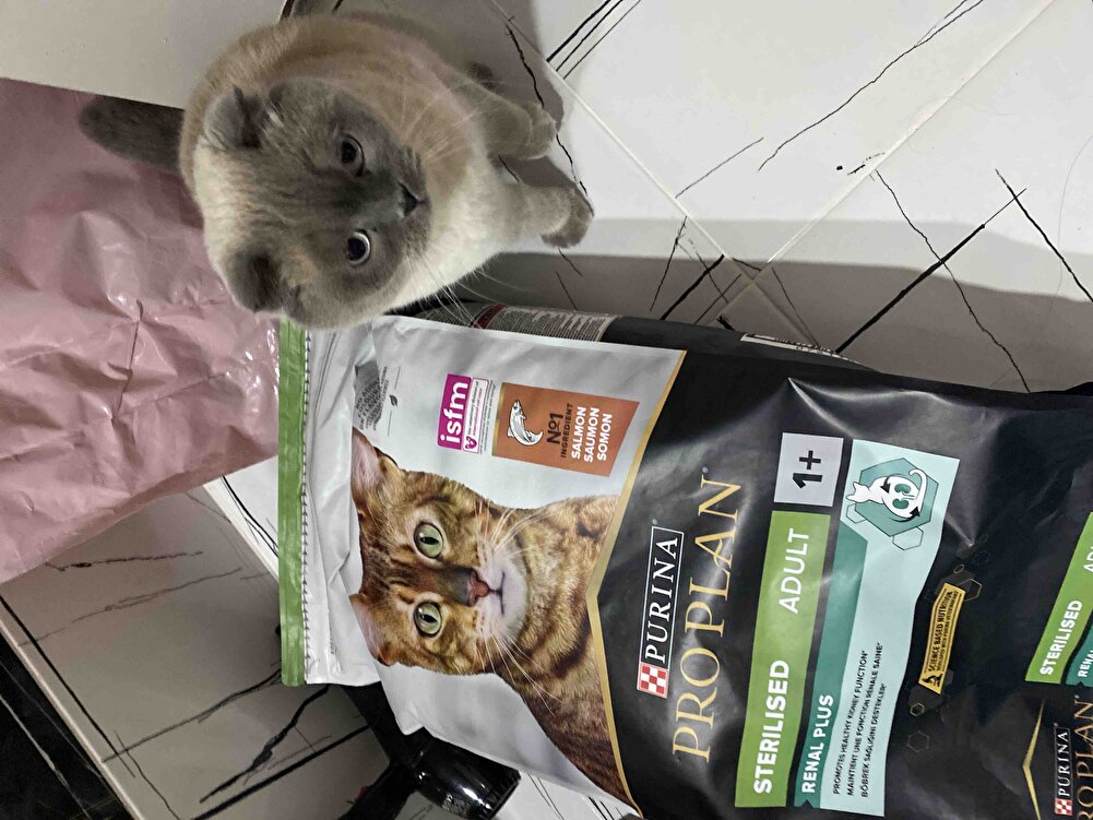 Paketleme ve teslimat harika kedim çok sevdi 😍😍