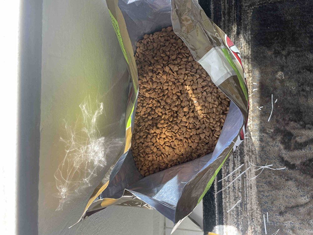 Emeğinize sağlık her zamanki gibi taze geldi tşkler