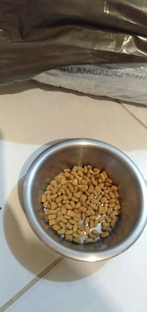 veteriner tavsiye ile aldım. Daha öncede almıştım kedimiz severek yiyor.