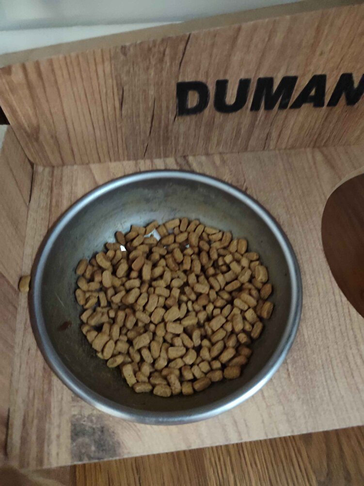 Sürekli aynı satıcıdan alıyorum. Çok kaliteli bir mama, kedim severek yiyor.