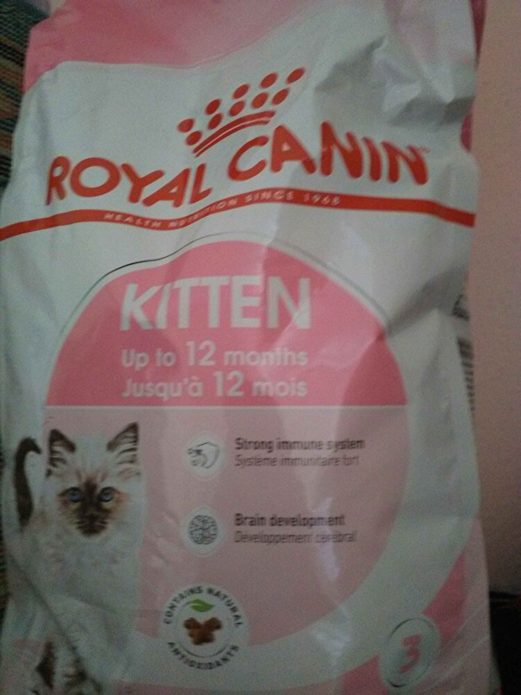 Miçomuzun en sevdiği😍😍