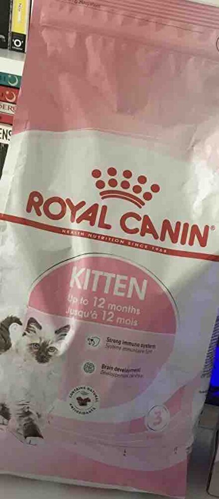 Kedim çok seviyor 🤍