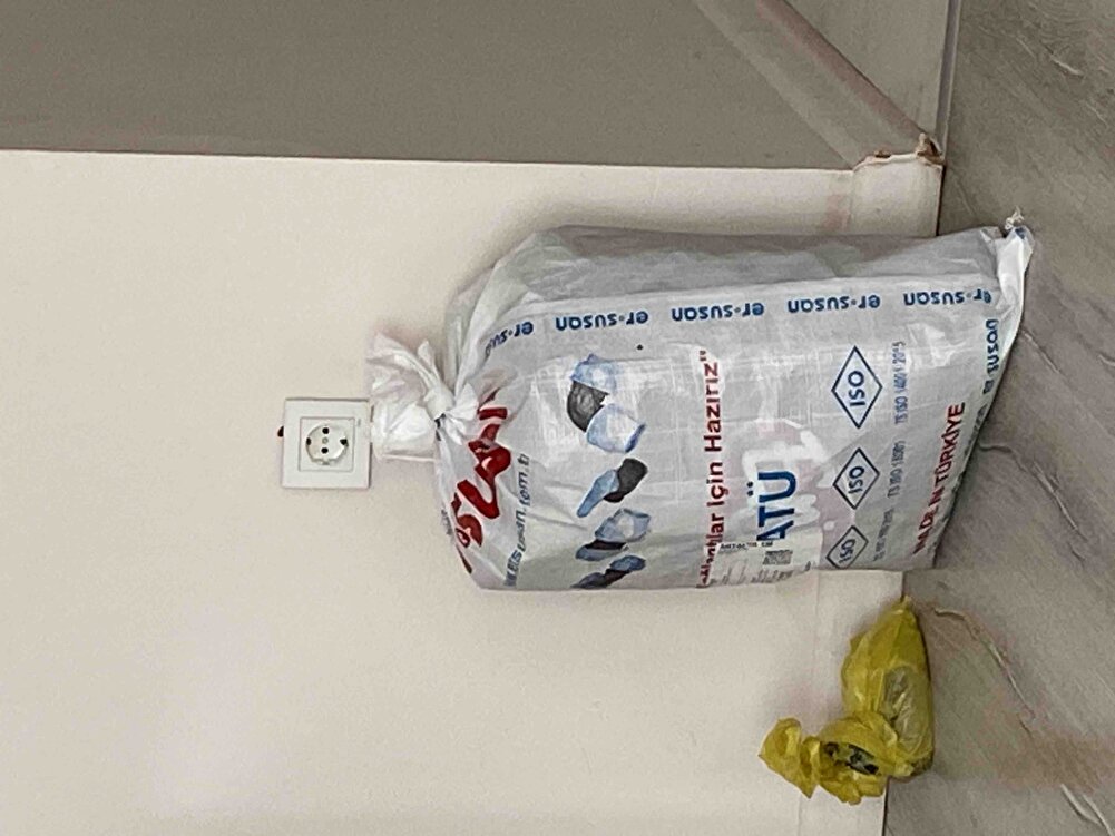 Severek yiyorlar sokak canları