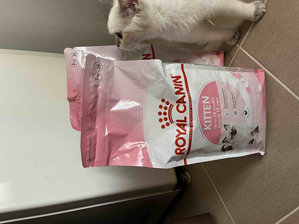 Severek yediğimiz bir mama hızlı geldi ve denetimden geçti 😁 Teşekkür ederiz 😇💟