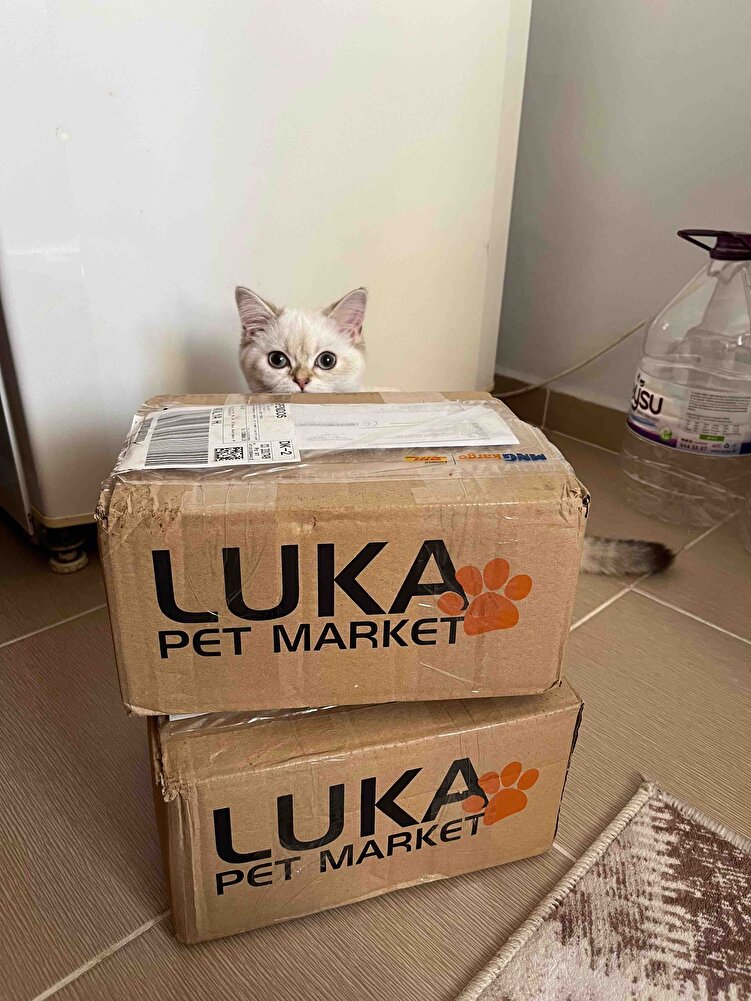 Mamamızı çok seviyoruz 2tane aldık sütlaç bey marka yüzünüz olabilir hatta