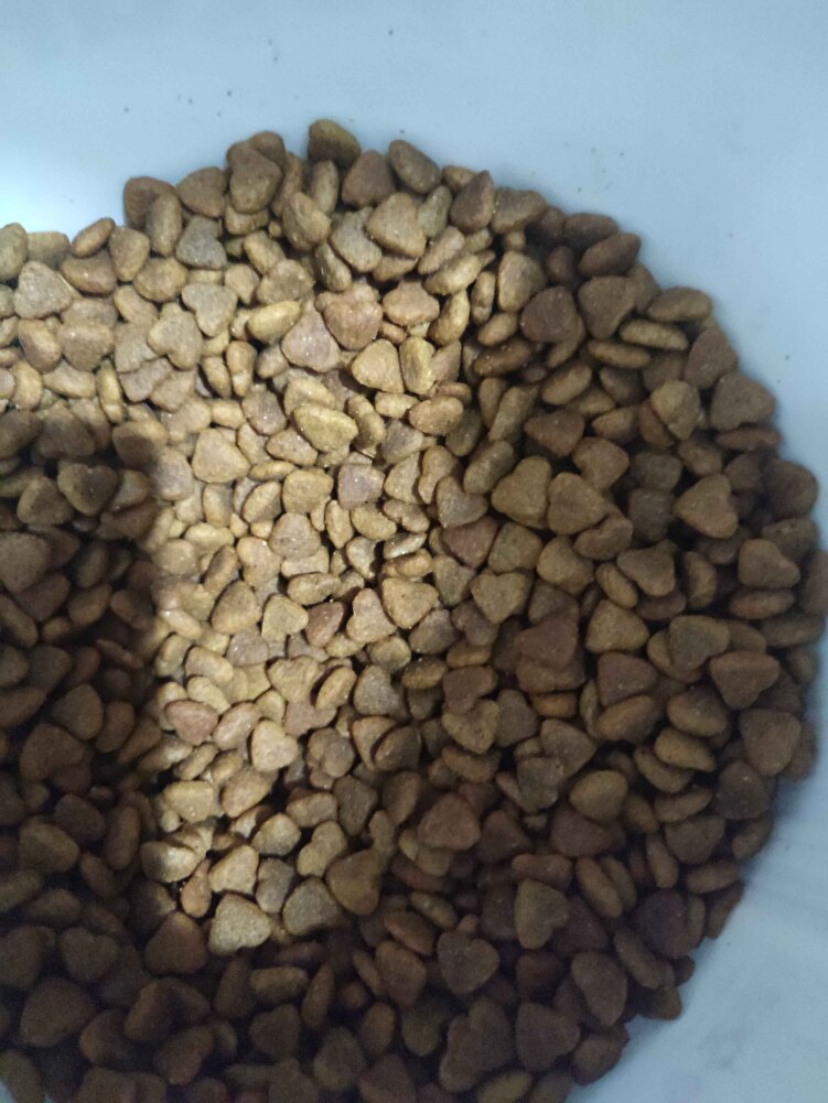 Sokaktaki canlar için alıyorum genel olarak seviyorlar.