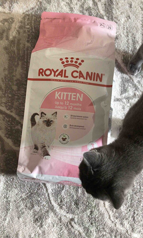 Mama konusunda çok seçici fakat kedim severek tüketiyor