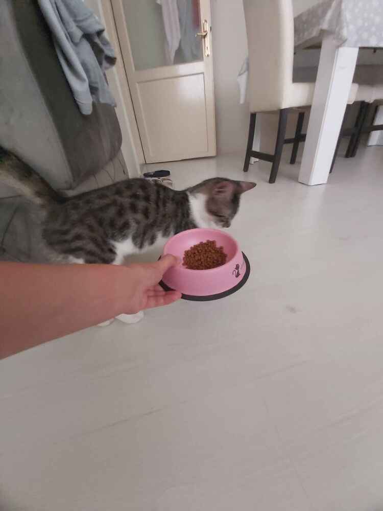 tatlişim çok memnun(: