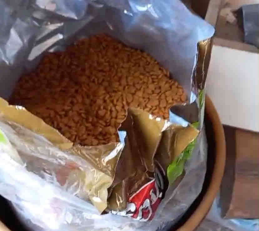 sokaktaki kediler için aldım beğenerek yiyorlar