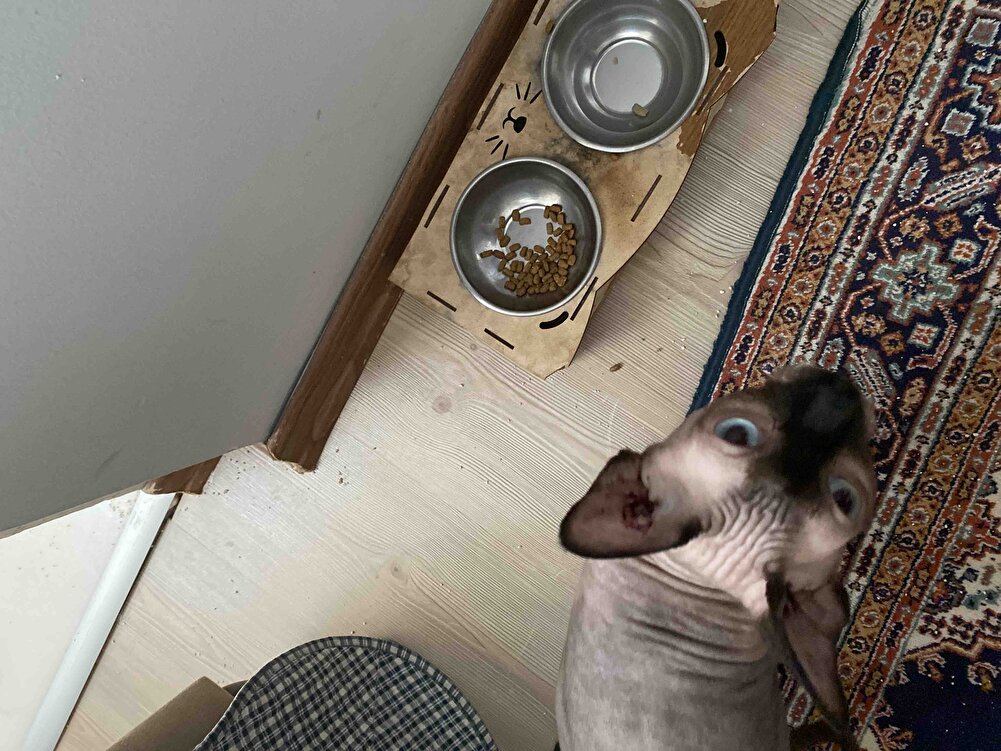 Kefimiz Çok Severek Yiyor