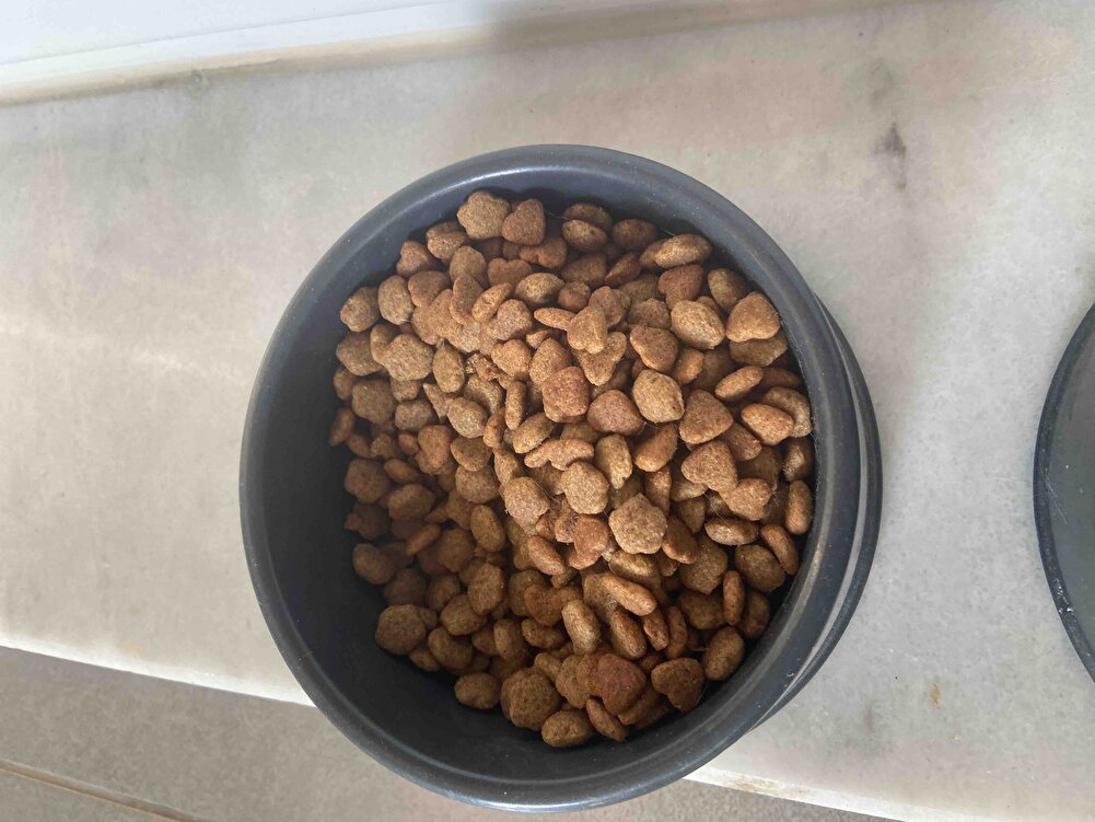 F/P ürünü Fotoğraf daki ile aynı hızlı kargo