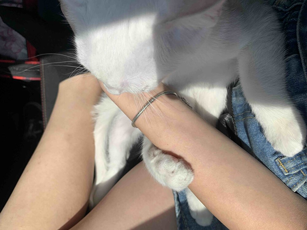 minnagim yedi ama icerik sebebiyle baska markaya gectik