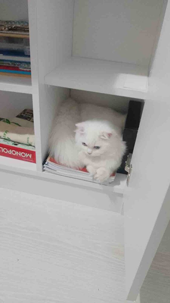 Bebeğim severek yiyor