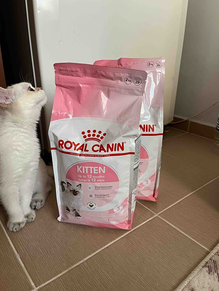 Mamamızı çok seviyoruz 2tane aldık sütlaç bey marka yüzünüz olabilir hatta