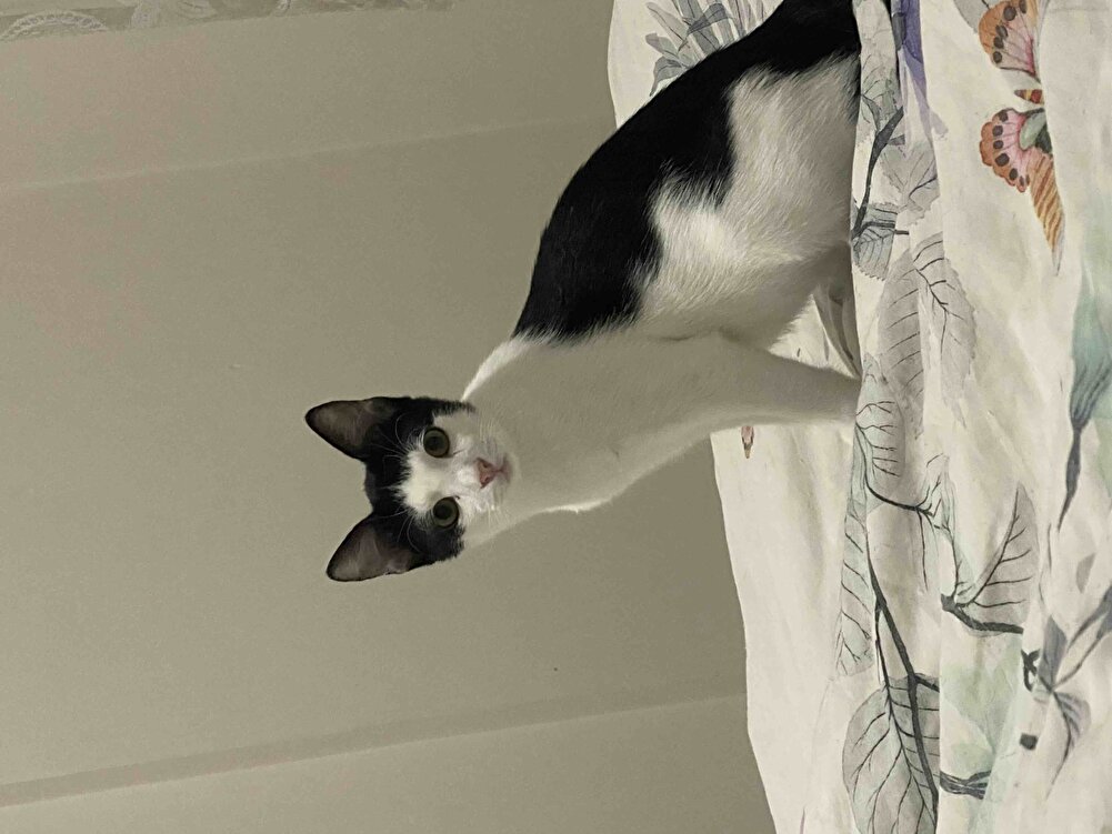 Üründe sıkıntı yok çocuklarım seçici