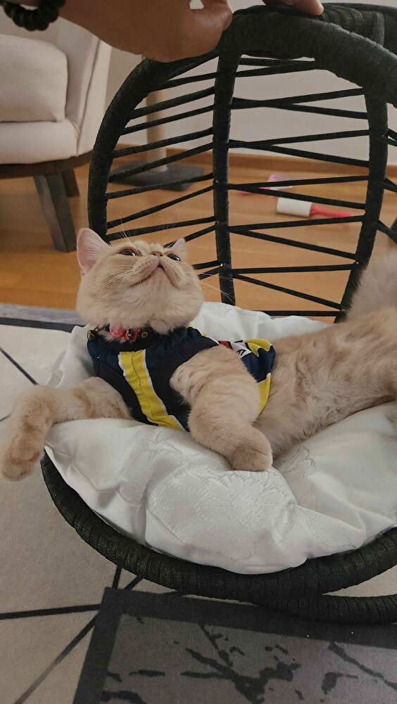 Kızım severek yiyor