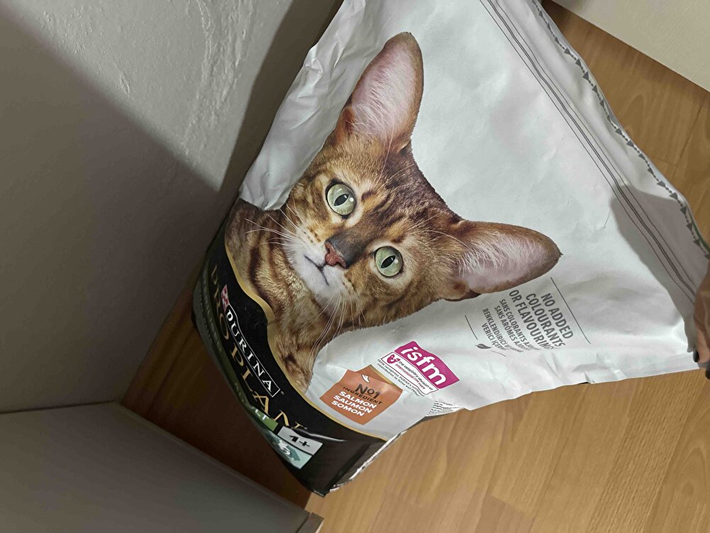 Paketleme gayet güzeldi. Yırtılmadan patlamadan elimize ulaştı.