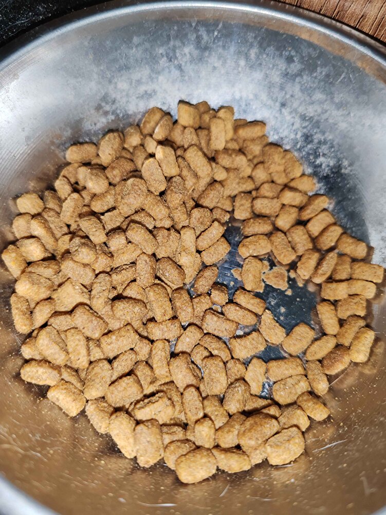 yıllardır kullanıyoruz çok memnunuz kedim çok seviyor hiçbir sıkıntı yaşamadık