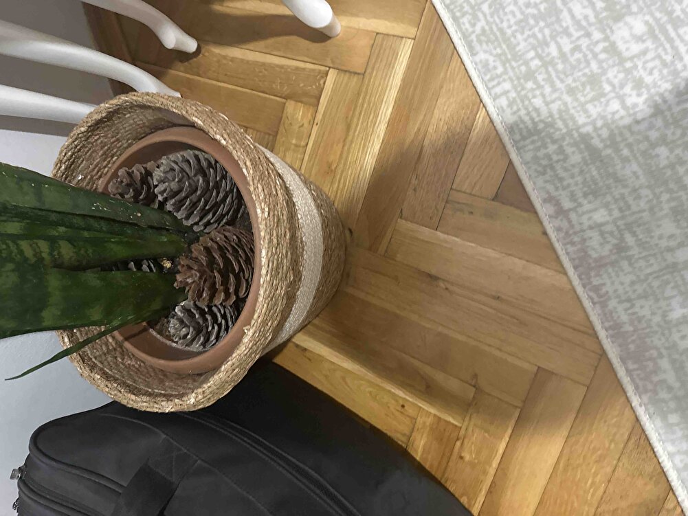 Köpekler için aldık gayet severek yiyorlar.