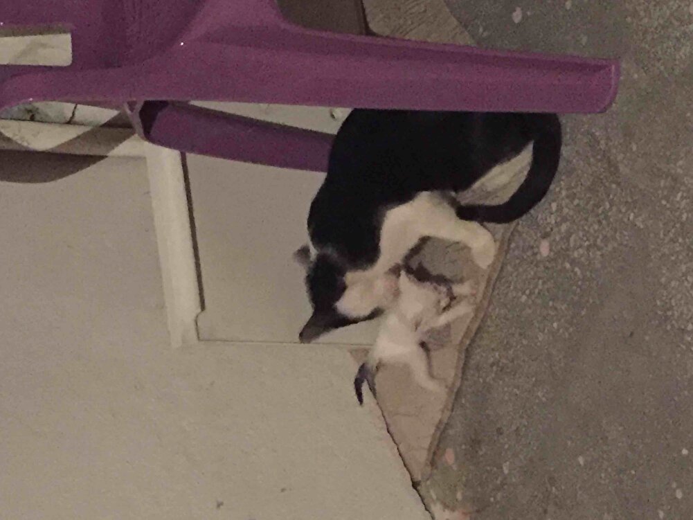 Sürekli kullanıyoruz memnunuz