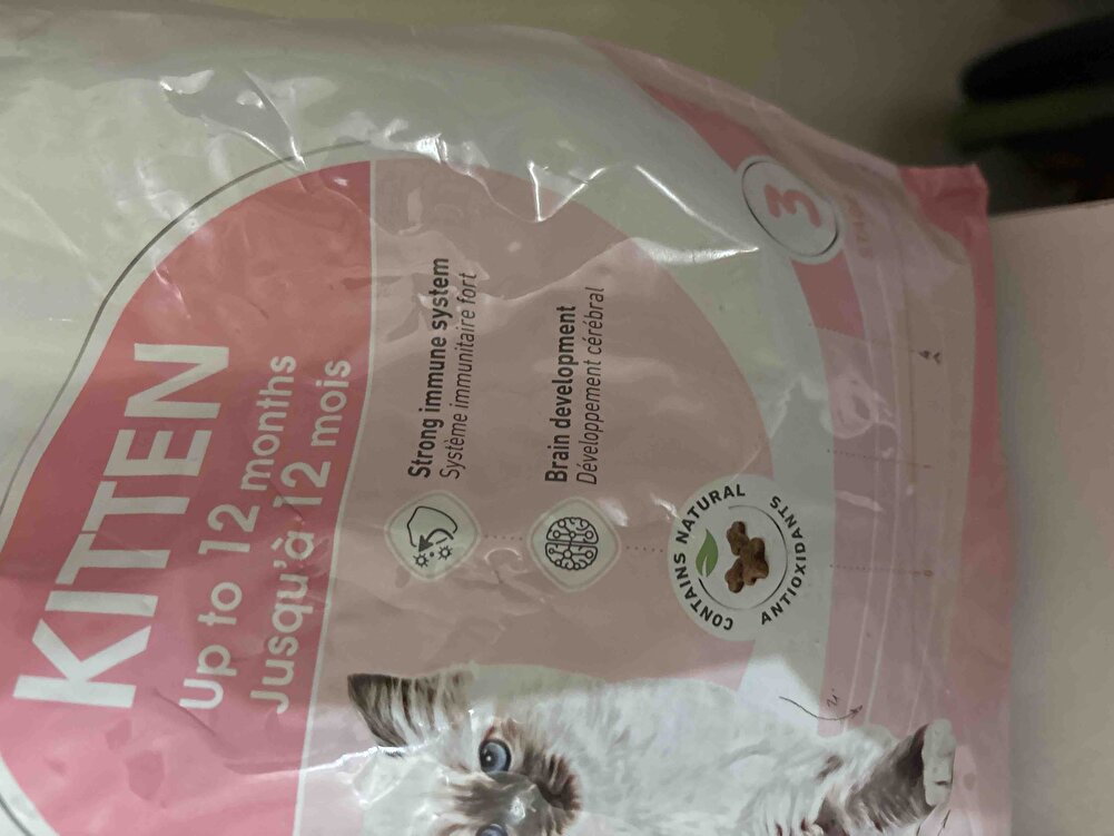 Yavru Kedim severek yiyor