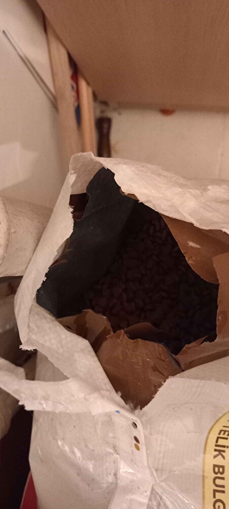 Bir torbaya daha koyulmuş güzel paketlenmiş kedilerim çok sevdi teşekkürler...