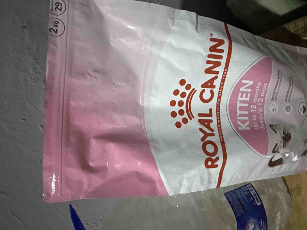 Yavru kedilerim bununla başladı mamaya