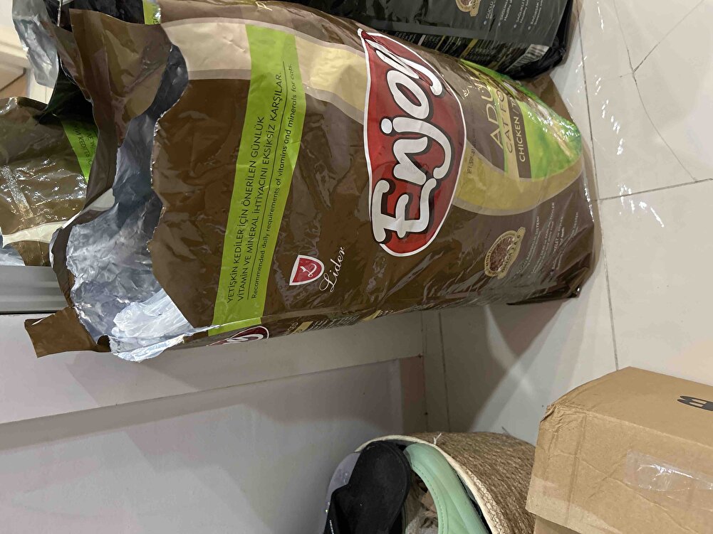 Sokaktaki dostlarimiza😇