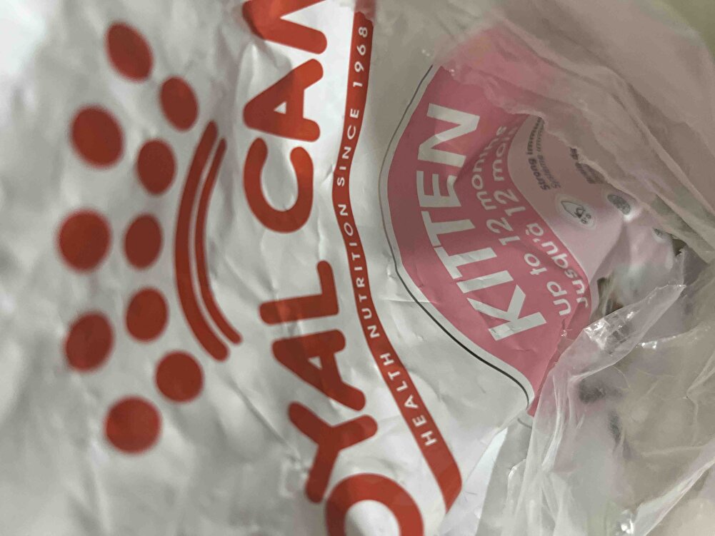 Kedim severek yiyor.