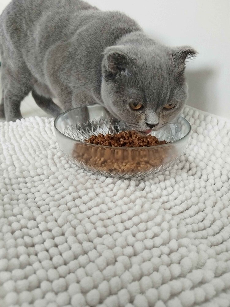 Şimdi geldi gelir gelmez koştu mamasına yavrum 6 aylık severek yiyor. İlginiz için teşekkür ederiz.