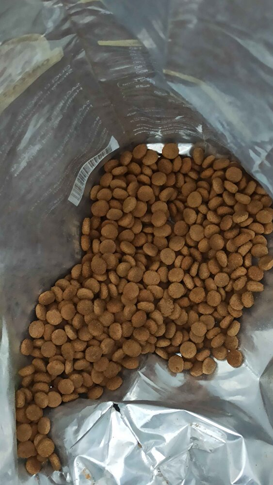 sokak köpekleri için almıştık kargalar bile yedi :)