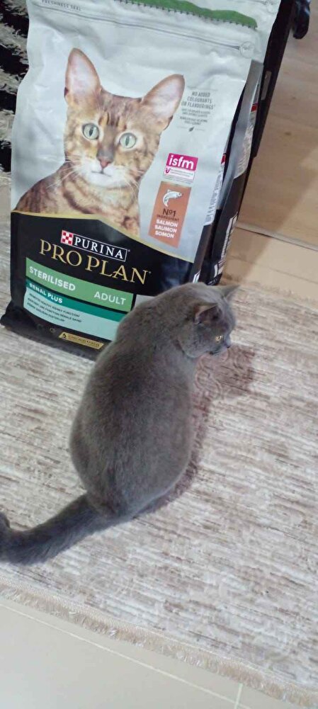 kedilerim severek tüketiyor.