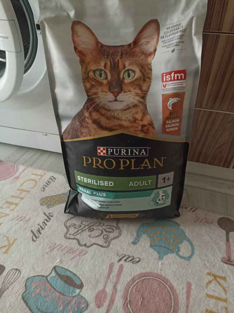 gayet iyi kedim severek yiyor