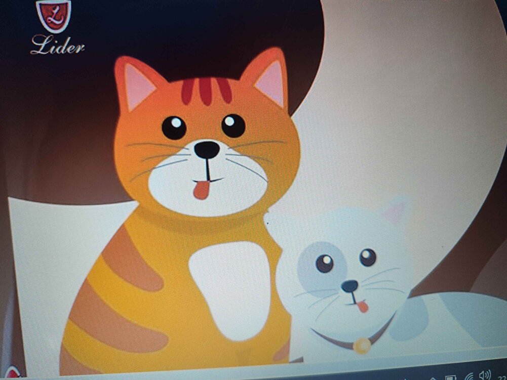 Kedilerin en sevdiği mama