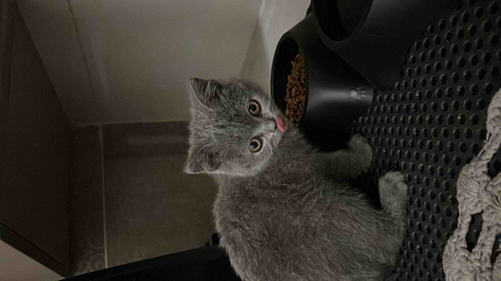 Ürün sorunsuz elime ulaştı