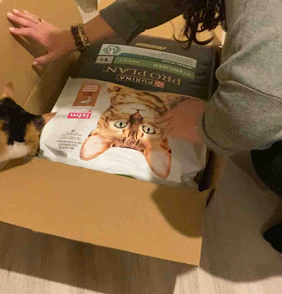 Ürünü daha önce başka mağazalardan da almıştım, ilk defa bu kadar mükemmel ve uygun paketleme gördüm teşekkürler👏🏻