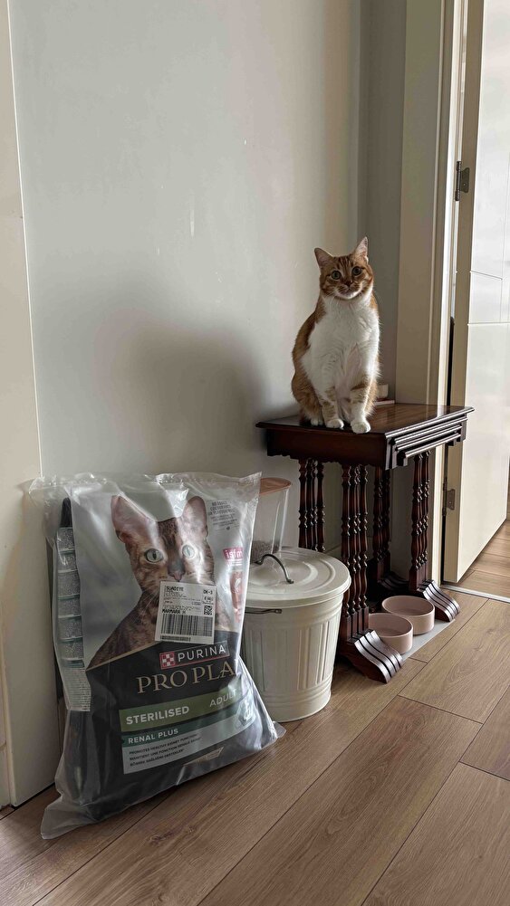 Hızlı ve güzel paketleme ile geldi, aynı satıcıdan ikinci siparişim ✌🏻