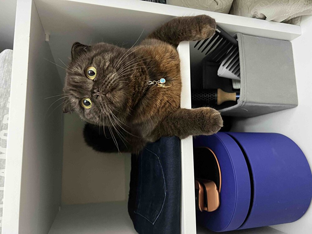 Kızım severek yiyor