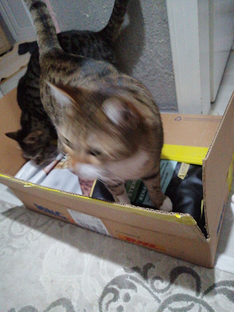 Kutuda geldi teşekkür ederim begendik