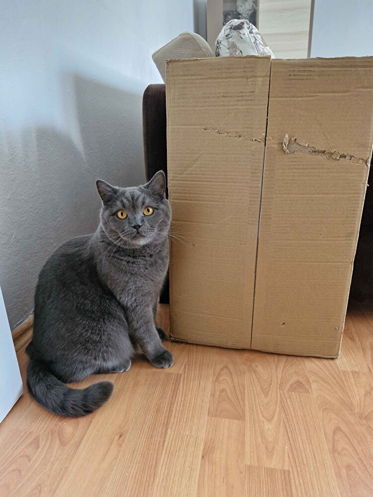 Alırken tereddütlüydüm tarih vs. sordum hemen cevap verdiler. Çok iyi paketlenmiş sorunsuz geldi. tarihi 2026 satıcıya teşekkür ediyorum.