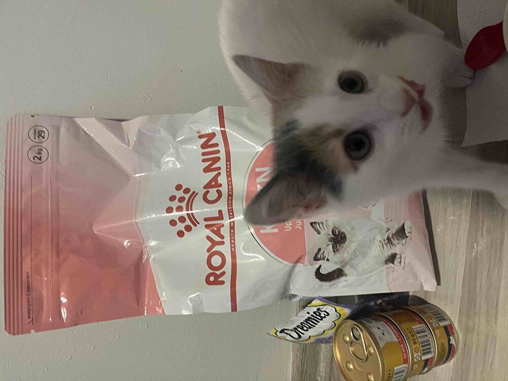 1 günde geldi çok iyi paketlenmişti ve kızım çok seviyor bu mamayı😊