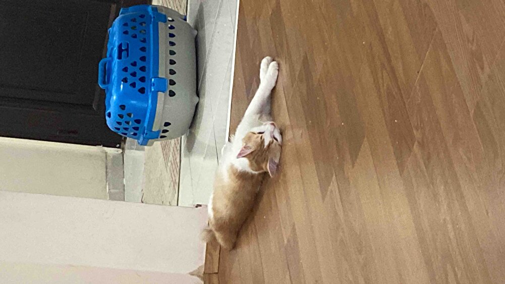 Ben az verince kendi açmıs çok seviyor