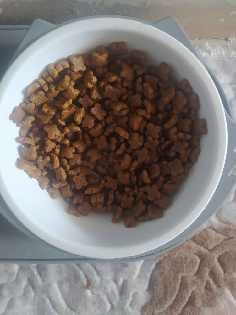 kedim çok severek yiyor inşallah şifa olsun