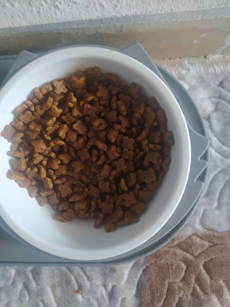 kedim çok severek yiyor inşallah şifa olsun