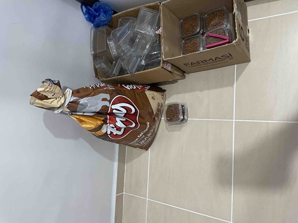 Ürünü sokak kedileri için alıyorum gayet iştahlı yiğiyorlar pek çok mama denedik olmadı bunu beğendiler