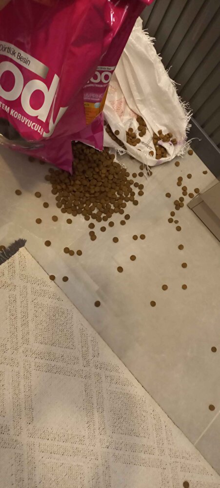 patlak gelmeseydi daha iyiydi